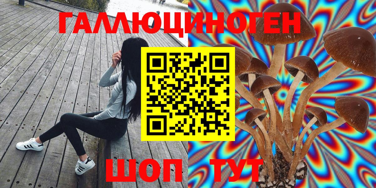 Галлюциногенные грибы Psilocybine cubensis  Вход с VPN  Корсаков  Псилоцибиновые грибы GOLDEN TEACHER 